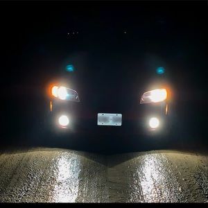 Meet your Posher, Carter